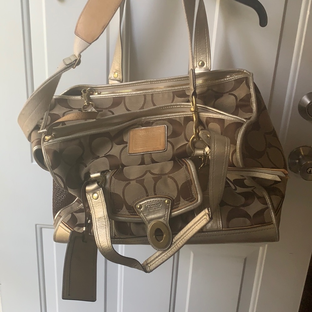 Coach dog carrier